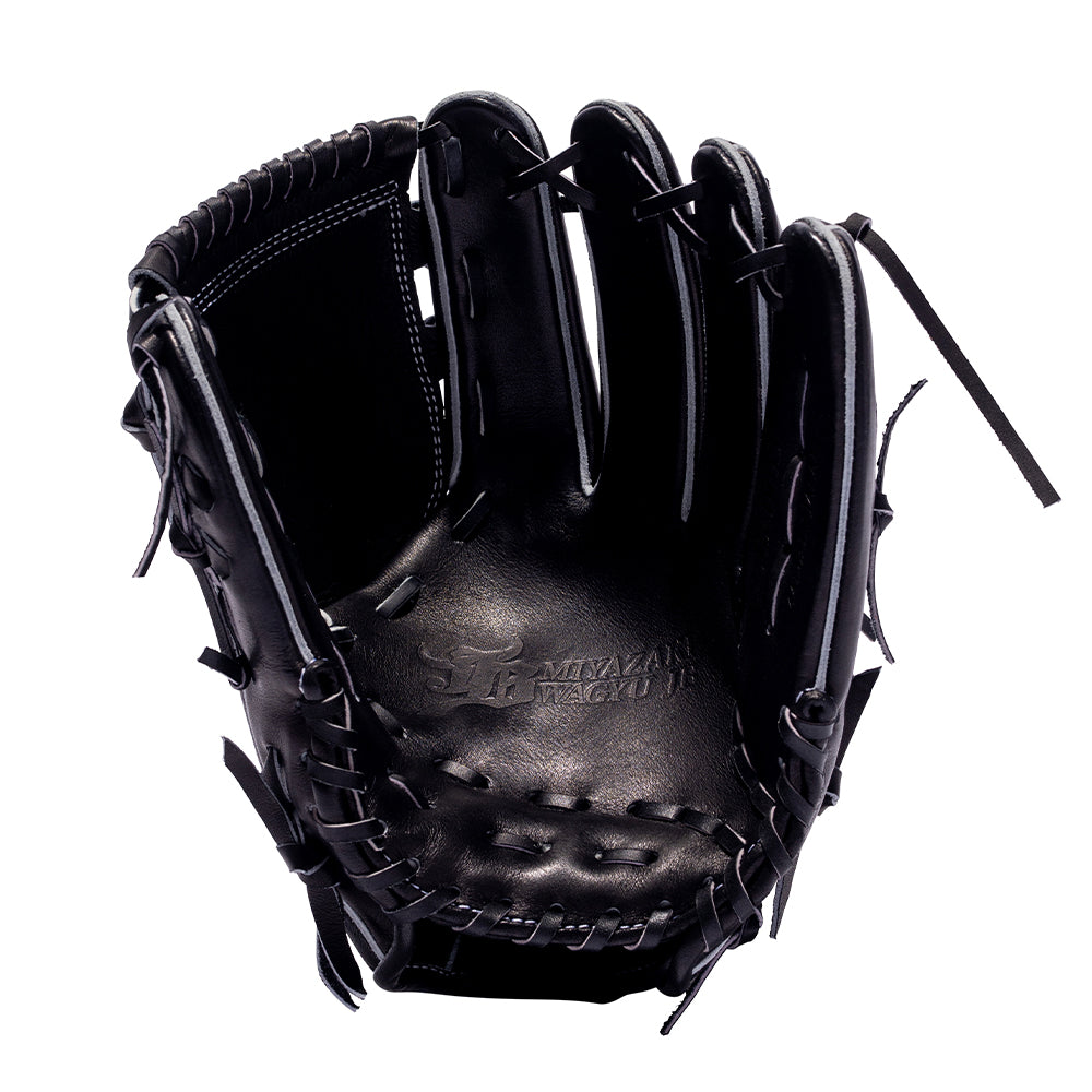 WAGYU JB glove/[JB-001T]/Pitcher