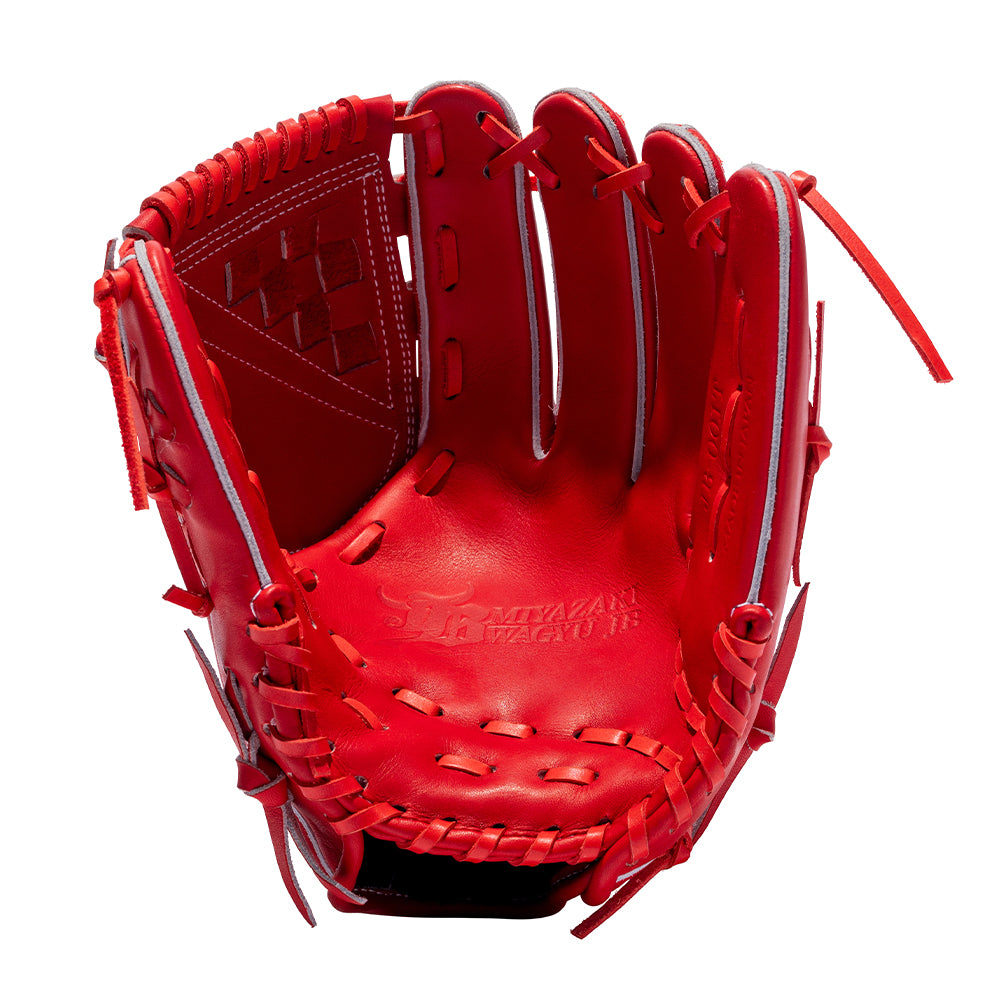 WAGYU JB glove/[JB-001T]/Pitcher